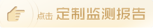 定制監測報告
