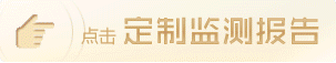 定制監測報告