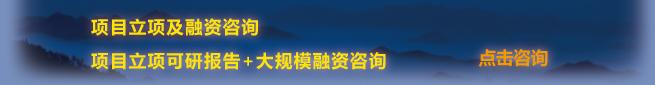 項目立項及融資咨詢