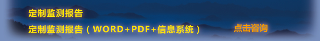 定制監(jiān)測(cè)報(bào)告