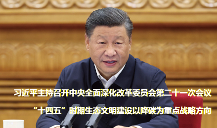 “十四五”時期生態(tài)文明建設(shè)以降碳為重點戰(zhàn)略方向