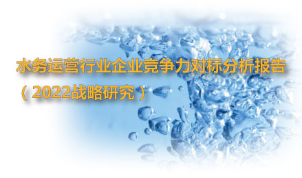 水務運營戰略研究_企業競爭力對標