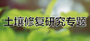 項目咨詢